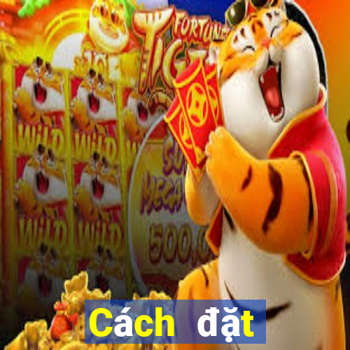 Cách đặt cược XS Mega 6 45