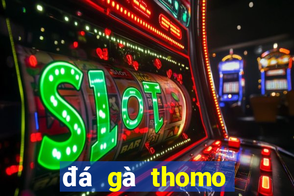 đá gà thomo ngày 15 tháng 05