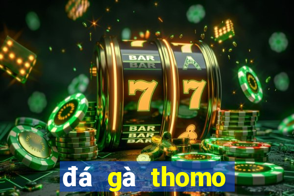 đá gà thomo ngày 15 tháng 05