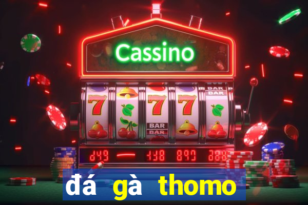 đá gà thomo ngày 15 tháng 05