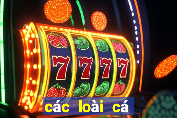 các loài cá nước ngọt