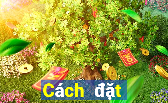 Cách đặt cược XSBD ngày 12