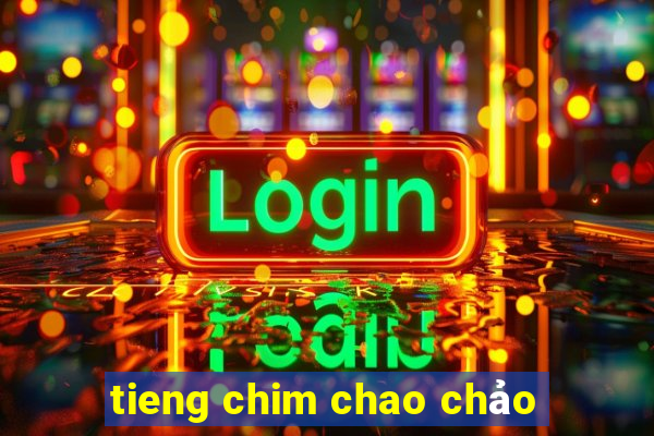 tieng chim chao chảo