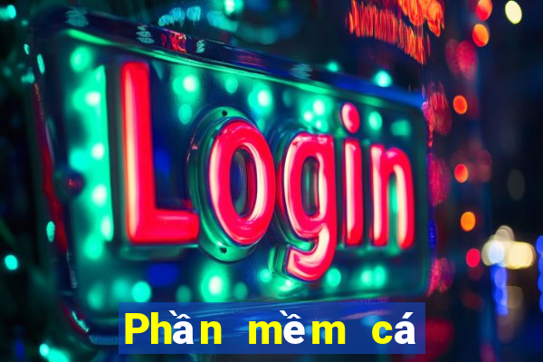 Phần mềm cá cược bóng rổ