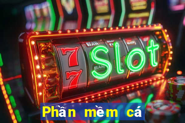 Phần mềm cá cược bóng rổ