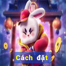 Cách đặt cược XSTV ngày 27