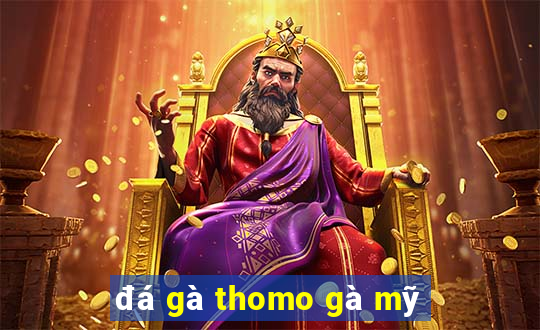 đá gà thomo gà mỹ