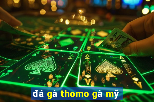 đá gà thomo gà mỹ