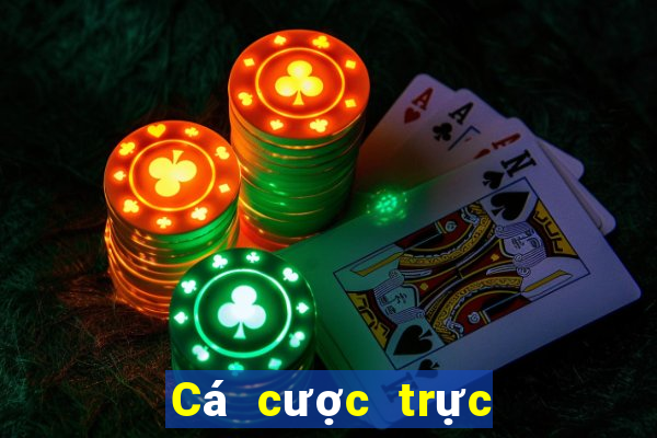 Cá cược trực tuyến V6bet