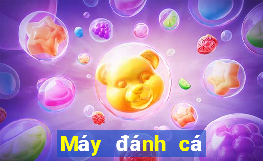 Máy đánh cá Qiangun app Tải về