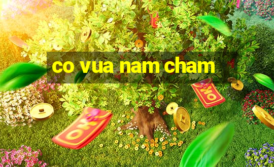 co vua nam cham