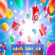 cách bắn cá ăn xu trong siêu thị