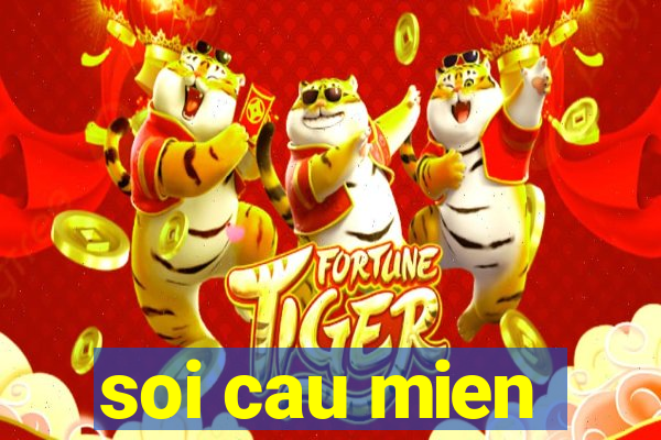 soi cau mien