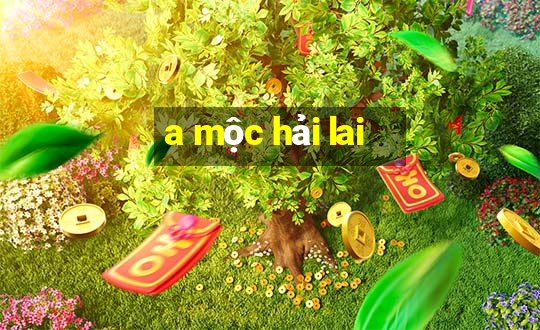 a mộc hải lai