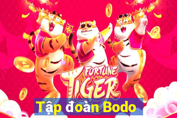 Tập đoàn Bodo