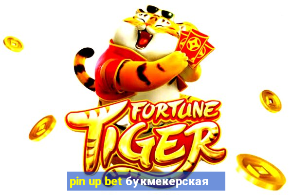 pin up bet букмекерская