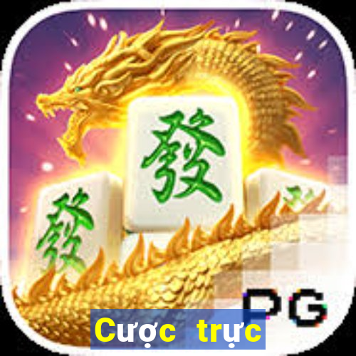 Cược trực tuyến nhanh