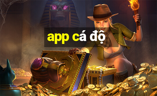 app cá độ