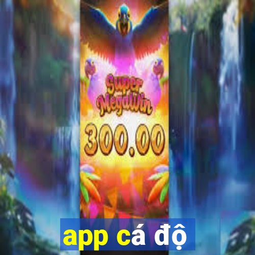 app cá độ