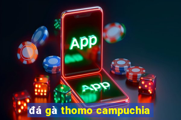 đá gà thomo campuchia