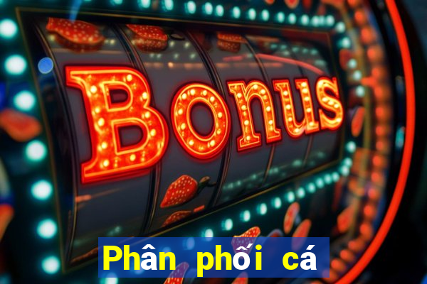 Phân phối cá có thể lên xuống