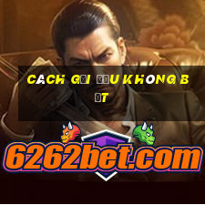 cách gội đầu không bết