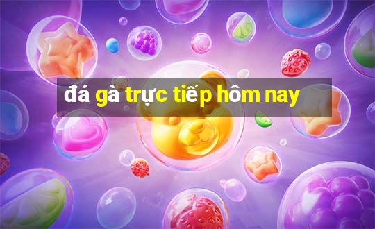 đá gà trực tiếp hôm nay