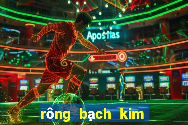 rông bạch kim thông kê