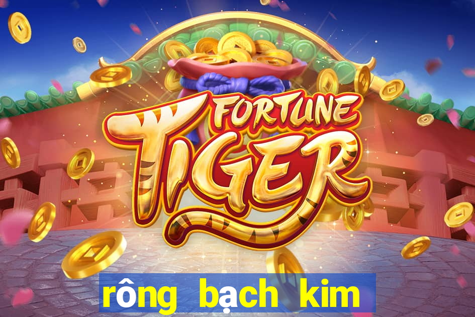 rông bạch kim thông kê