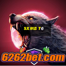 sxmb t6