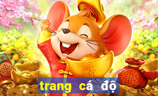 trang cá độ bóng đá lớn nhất the giới