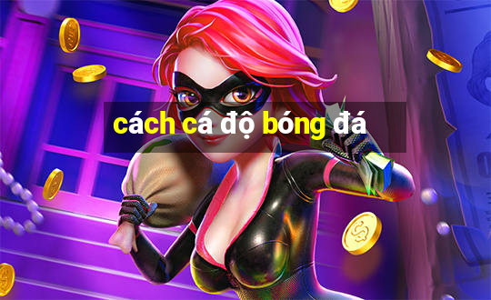 cách cá độ bóng đá