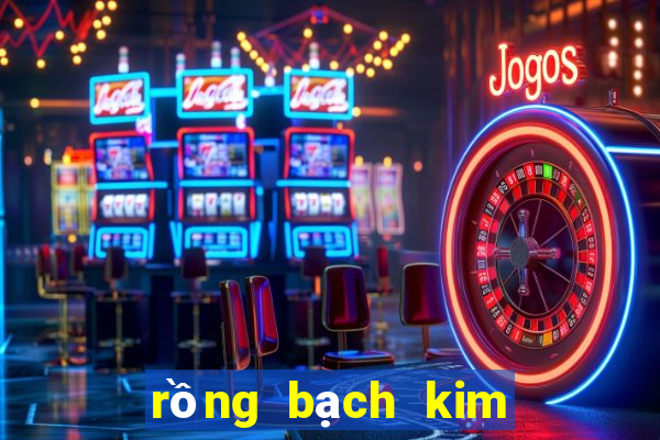 rồng bạch kim 666 hôm nay