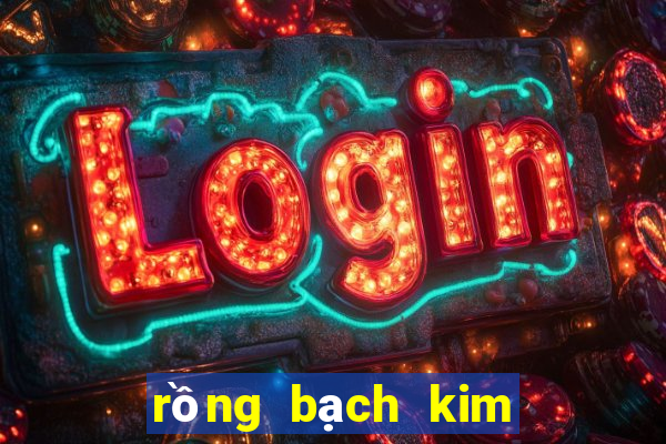 rồng bạch kim 666 hôm nay