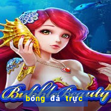 bóng đá trực tiếp socolive