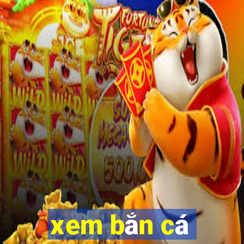 xem bắn cá