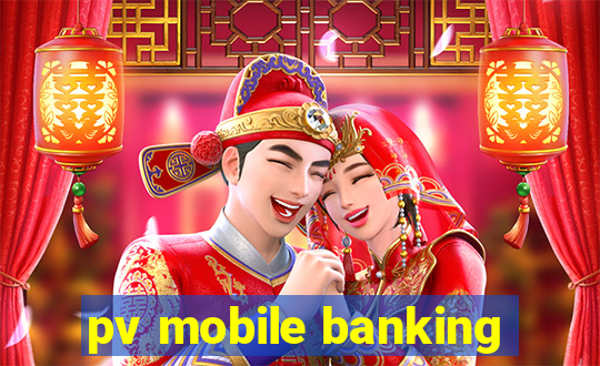 pv mobile banking