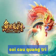 soi cau quang tri