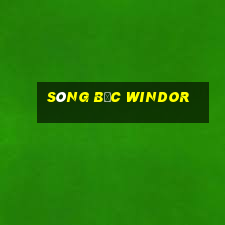 sòng bạc windor