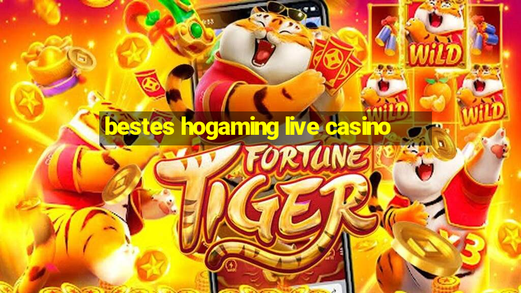 bestes hogaming live casino