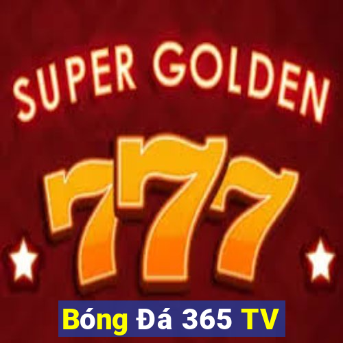 Bóng Đá 365 TV