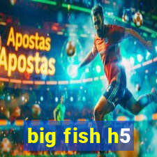 big fish h5