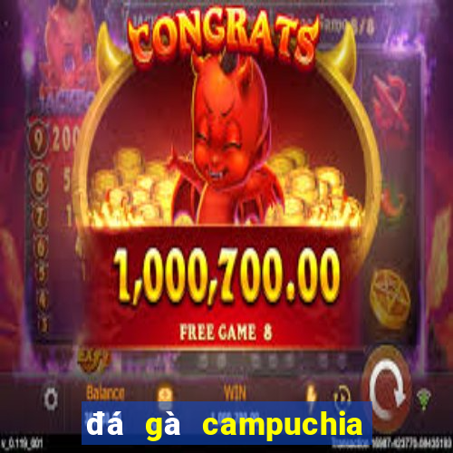 đá gà campuchia 22 4 2019