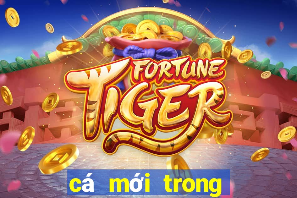 cá mới trong play together