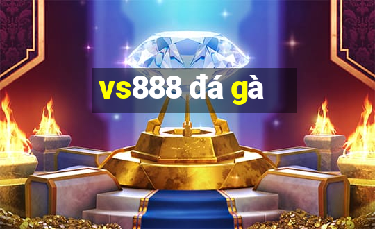 vs888 đá gà