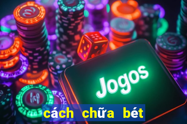 cách chữa bét cho chó