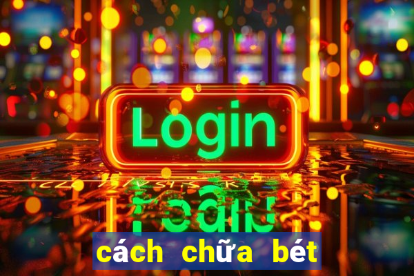 cách chữa bét cho chó