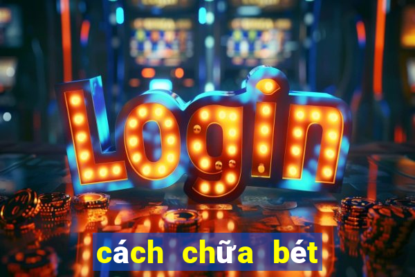 cách chữa bét cho chó