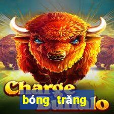 bóng trăng trắng ngà có cây đa to