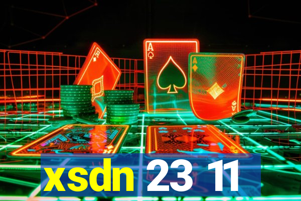 xsdn 23 11